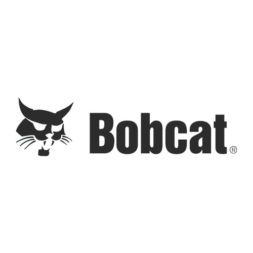 Bobcat